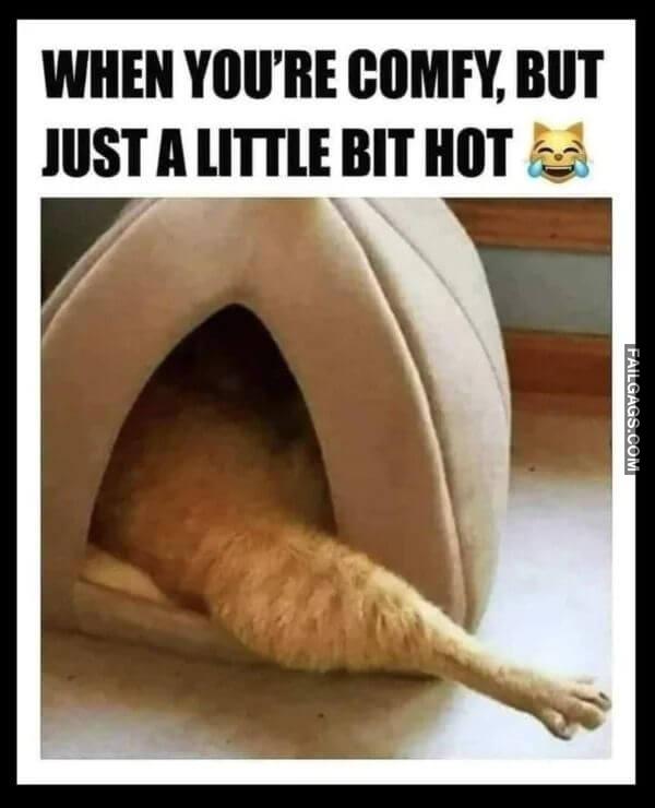 Random Funny Memes 8 4