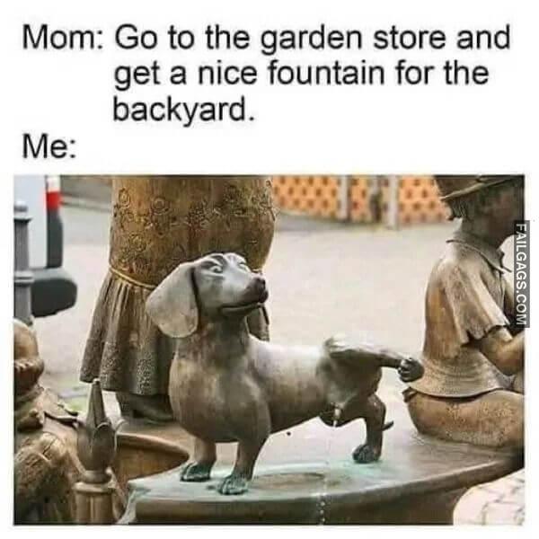 Random Funny Memes 9 4