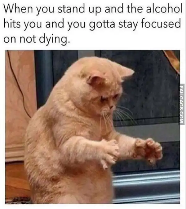 Funny Drunk Memes 10