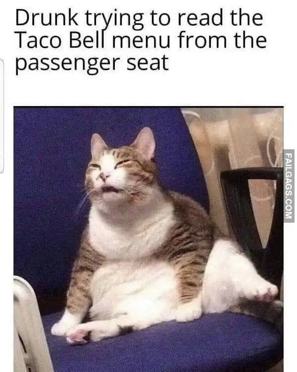 Funny Drunk Memes 12