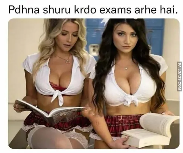 Funny Indian Sex Memes 2