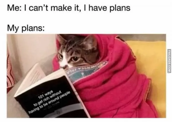 Funny Introvert Memes 10