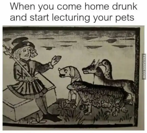 Funny Memes 9