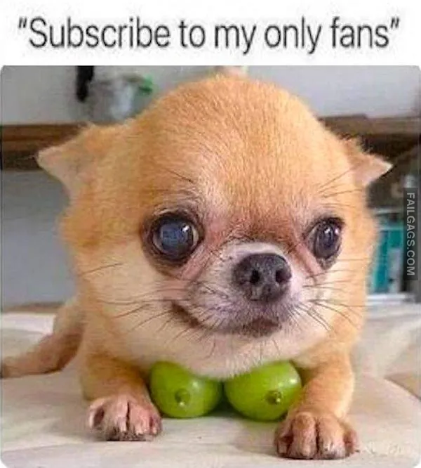 Funny NSFW Memes 10 1