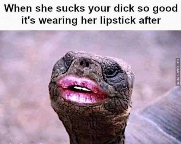 Funny NSFW Memes 2 1