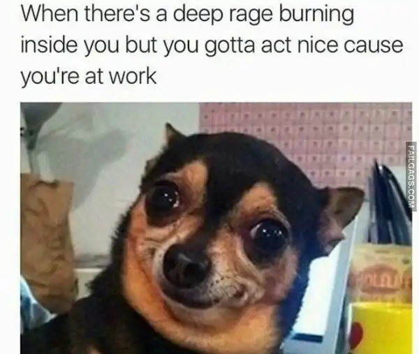 Funny Work Memes 7