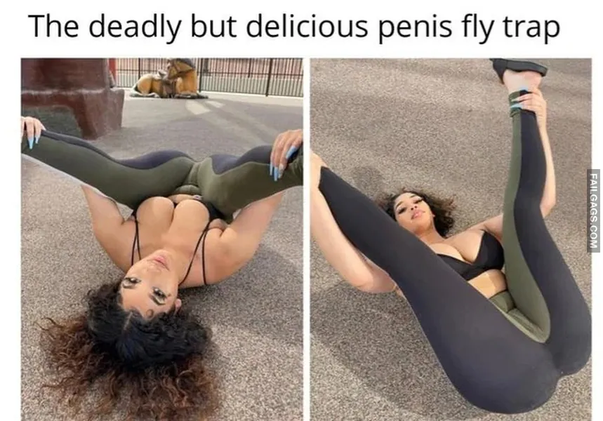 The Deadly but Delicious Penis Fly Trap Dirty Memes