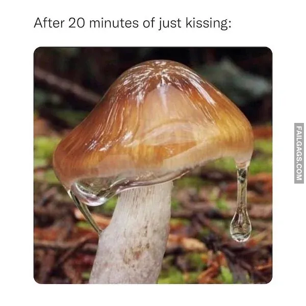 Adult Memes for Man 7