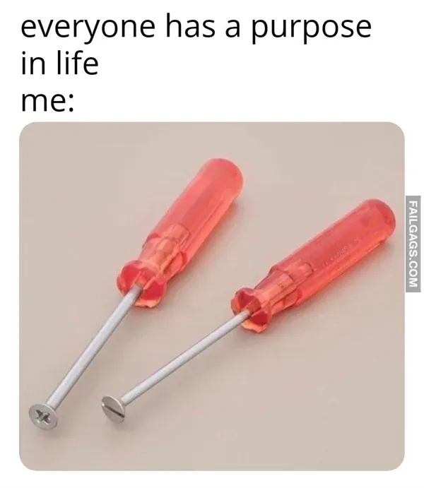 Dank Memes The Dankest Memes on the Internet Right Now 10