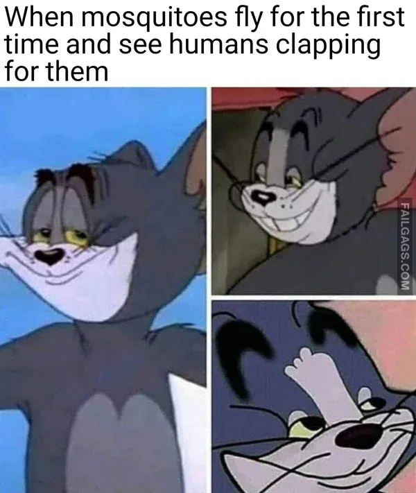 Dank Memes The Dankest Memes on the Internet Right Now 2