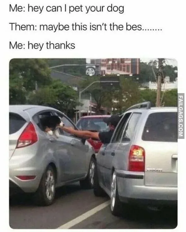 Funny Animal Memes 2