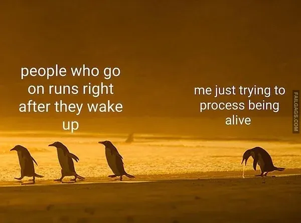 Funny Animal Memes 3