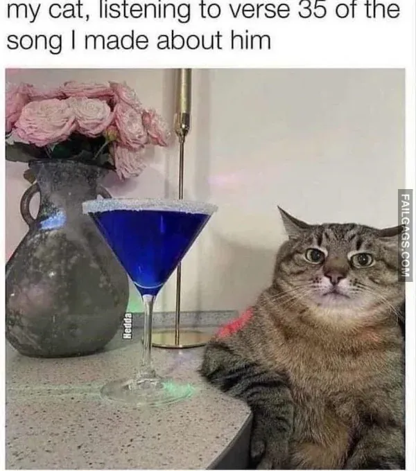 Funny Animal Memes 6