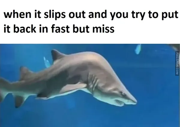 Funny Dirty Memes People With Dirty Minds Will Love 5