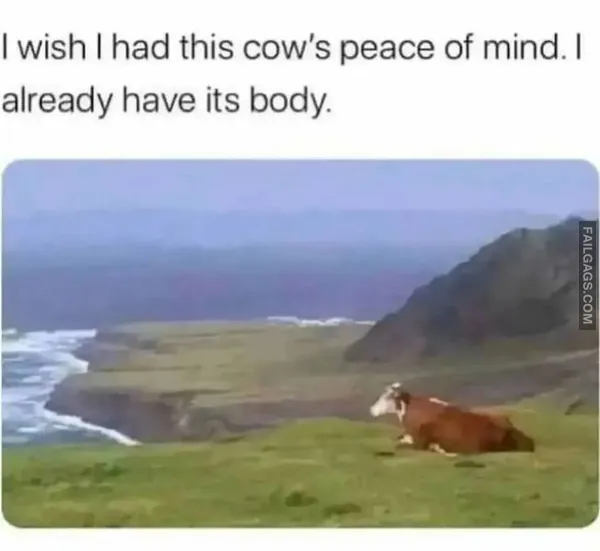 Funny Introvert Memes 3