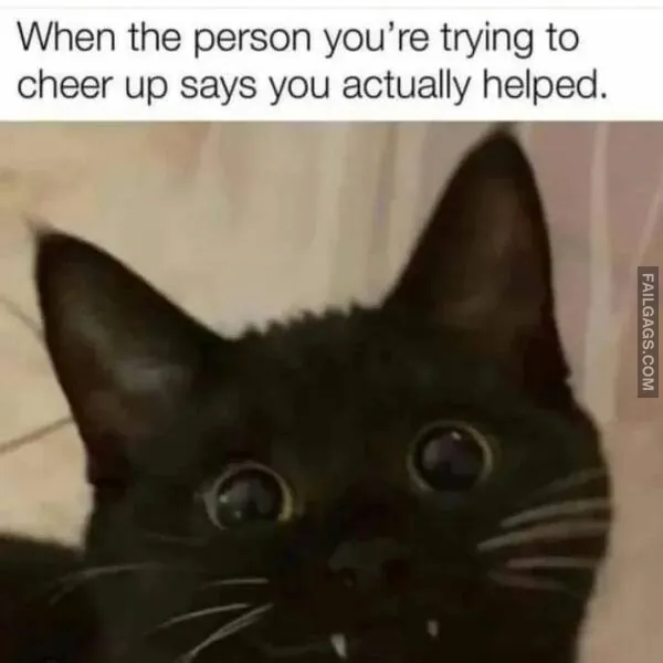Funny Introvert Memes 5