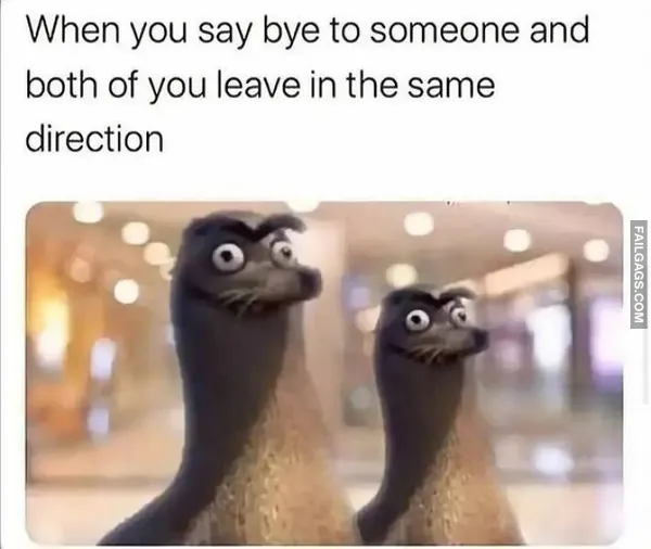 Funny Introvert Memes 6