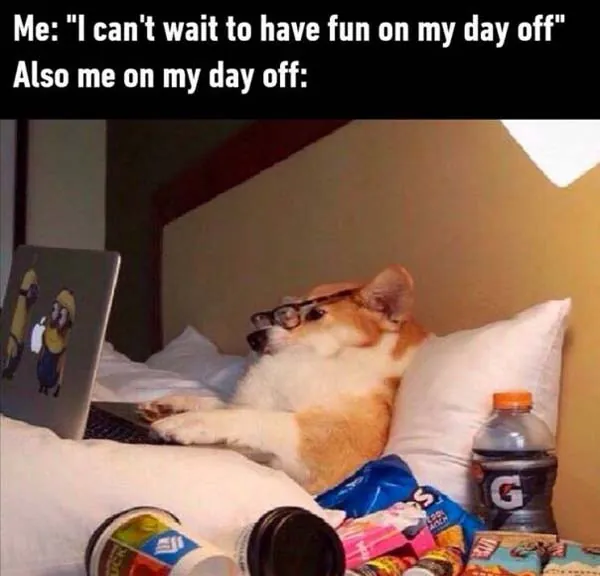 Funny Memes 1 4