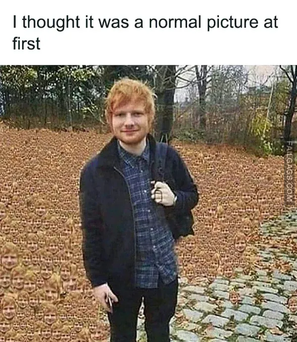Funny Memes 10 4