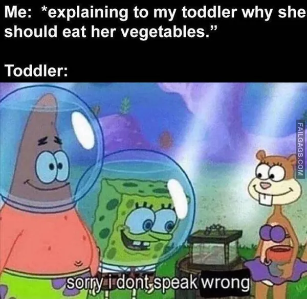 Funny Memes 11 4