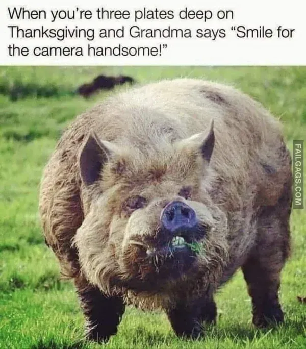 Funny Memes 12 2