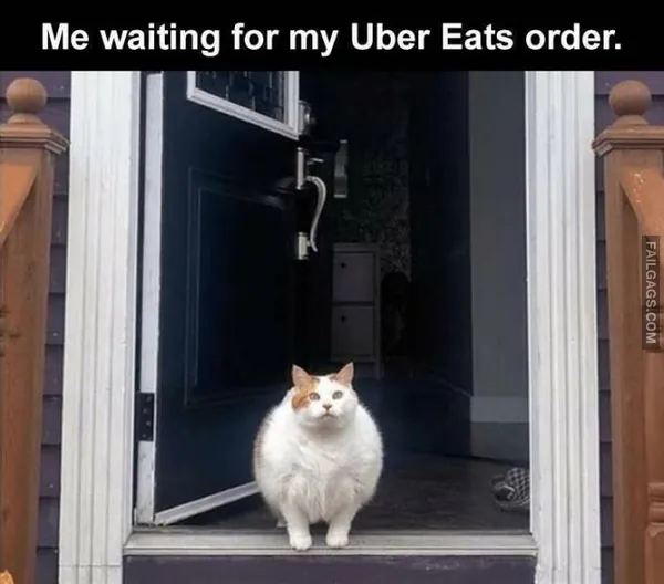 Funny Memes 12 4