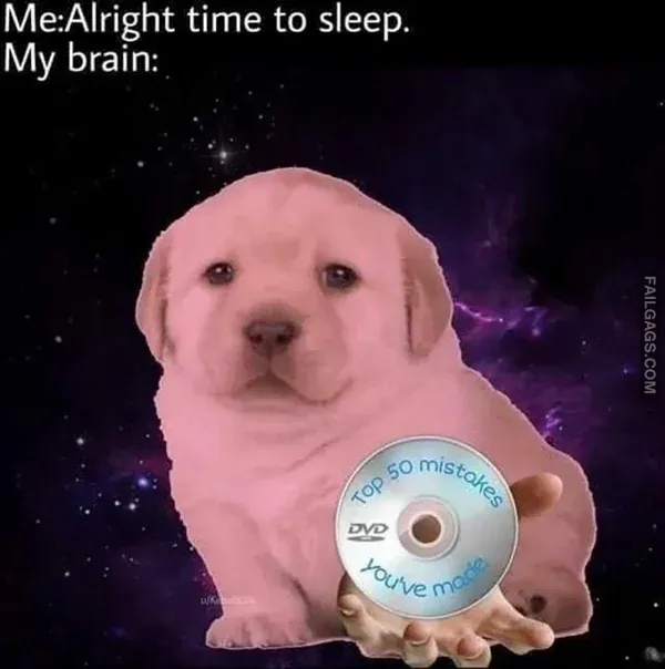 Funny Memes 13 3