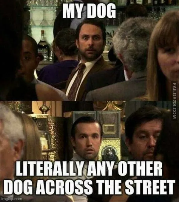 Funny Memes 4 3