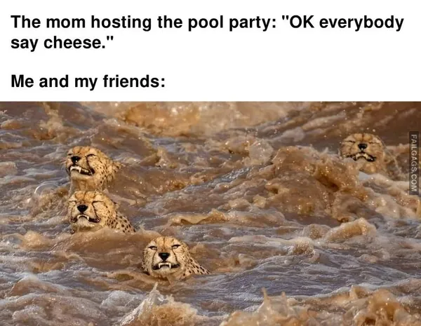 Funny Memes 5 1