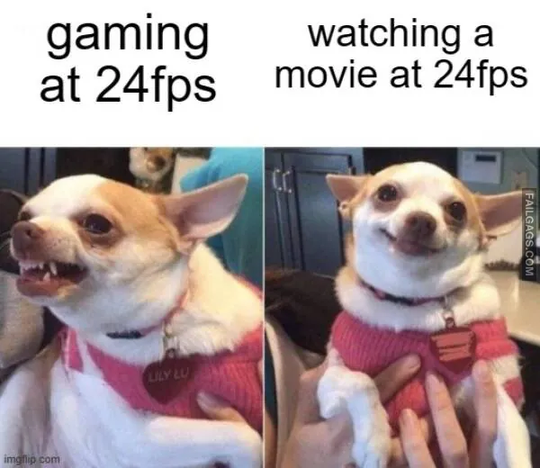 Funny Memes 6 1