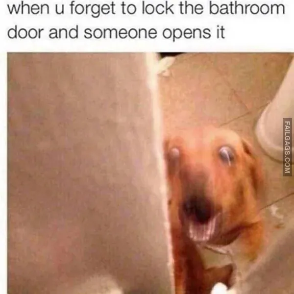 Funny Memes 6 3