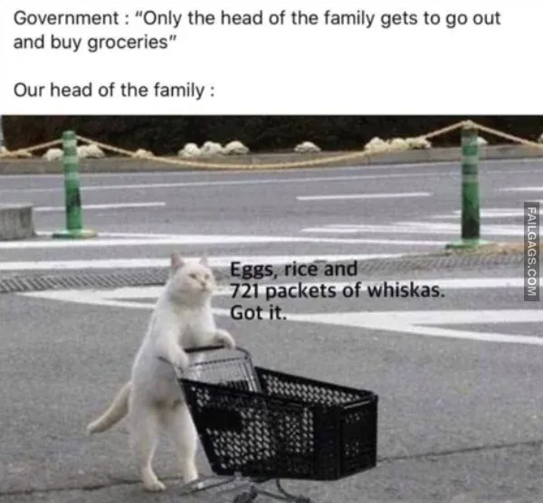 Funny Memes 8 2