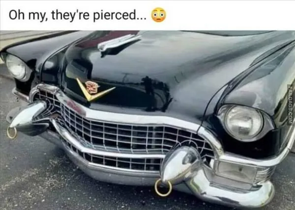 Hilarious Memes 10
