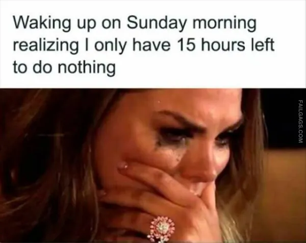 Hilarious Memes 8