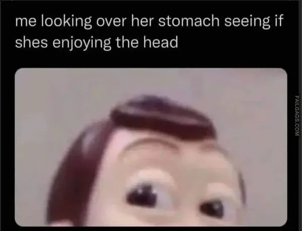 Hilarious NSFW Memes 5