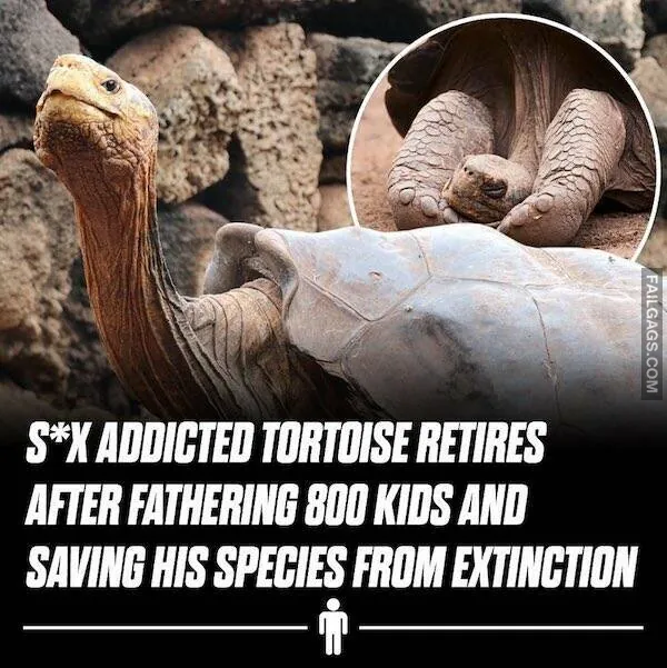 Memes Only Men Will Understand 11