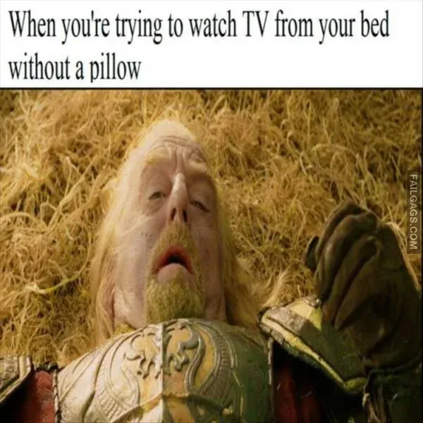So True Memes 8