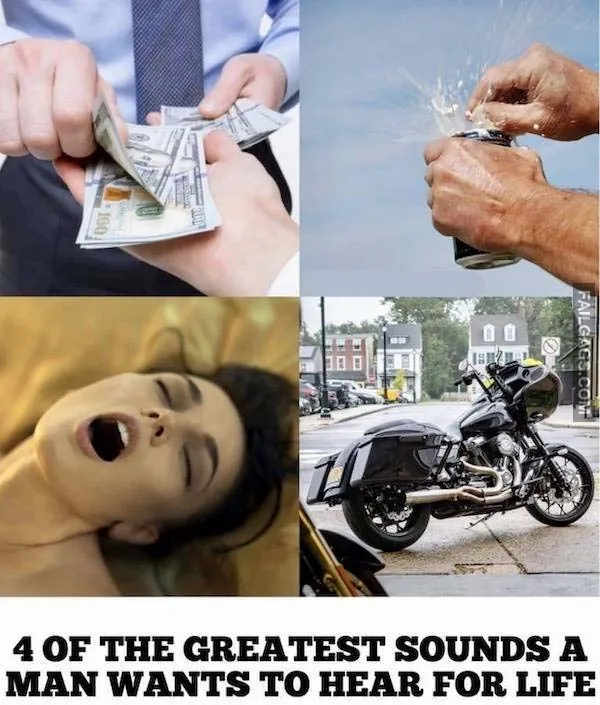 Funny Adult Memes 13