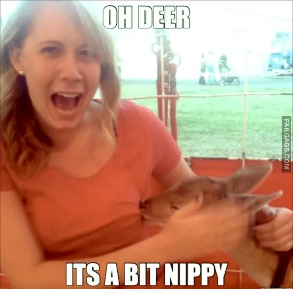 Funny Adult Memes 3