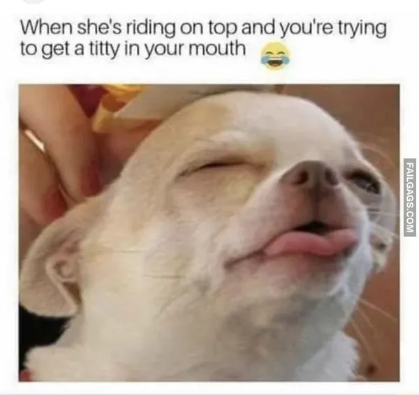 Funny Adult Memes 4 3