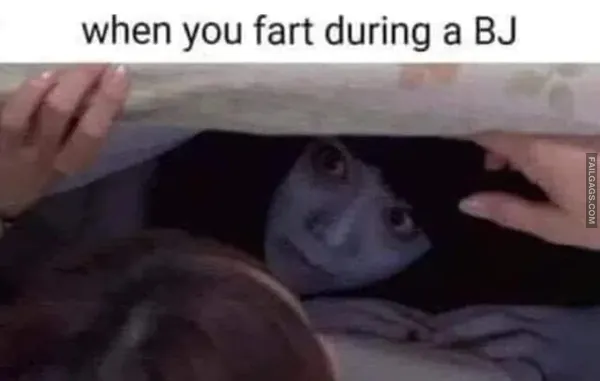 Funny Adult Memes 8 1