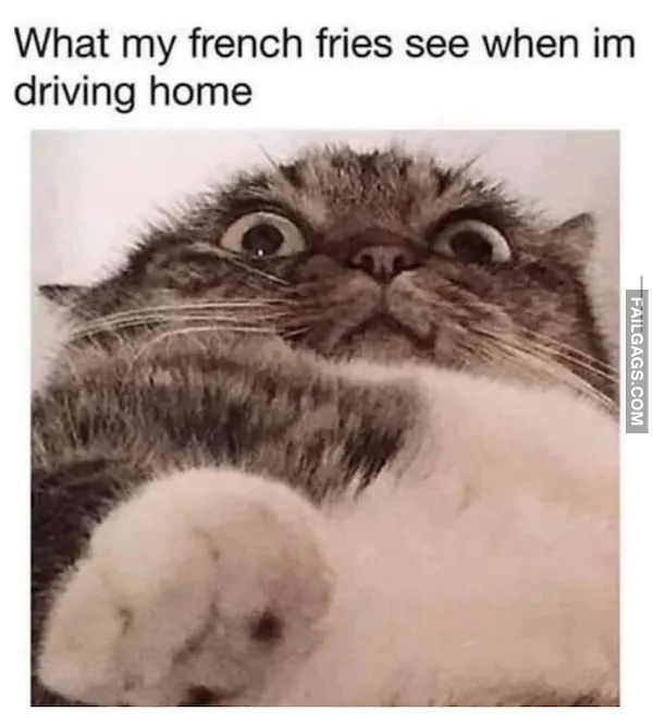 Funny Fat Memes 11