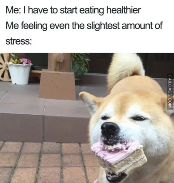 Funny Fat Memes 12