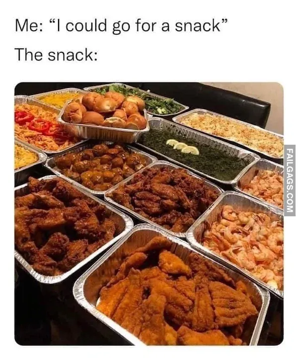 Funny Fat Memes 3