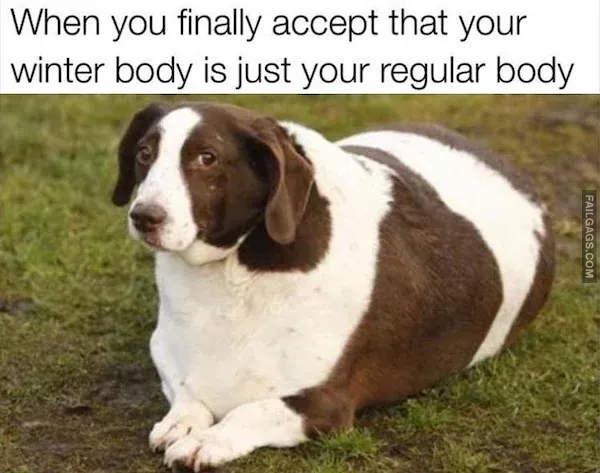 Funny Fat Memes 4