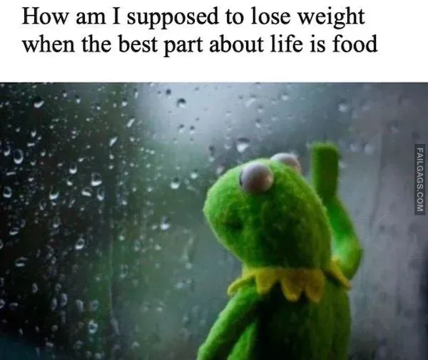 Funny Fat Memes 9