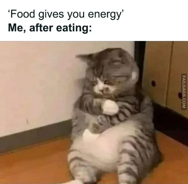 Funny Food Memes 8