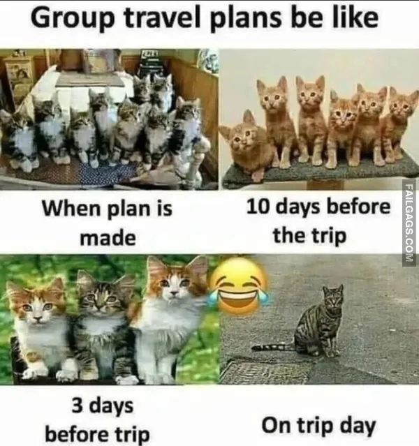 Funny Hindi Memes 7 2
