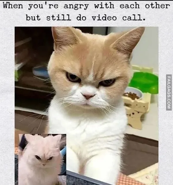 Funny Hindi Memes 9 2