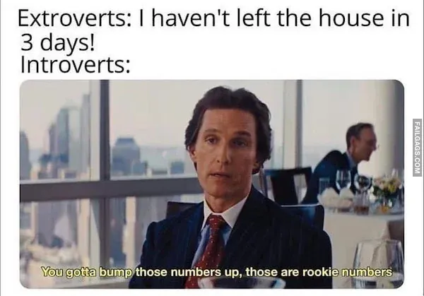Funny Introvert Memes 10